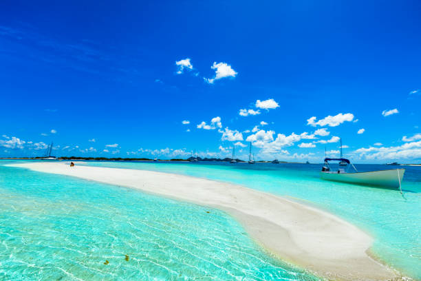 Top Postcard Design Agencies in Venezuela