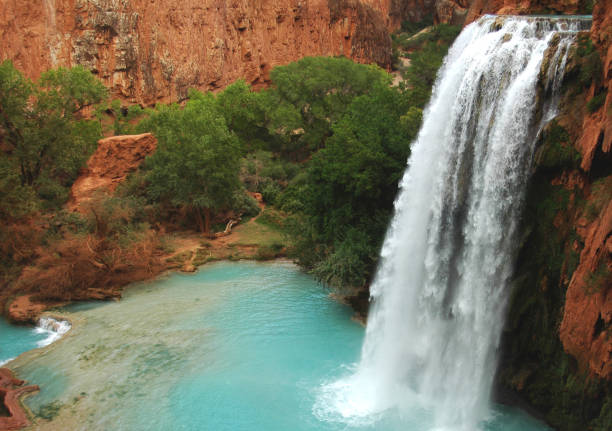 Top 5 Mural Design Agencies in Arizona