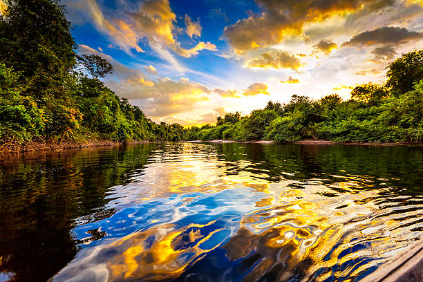 Top Custom Graphic for Videos Design Agencies in Venezuela