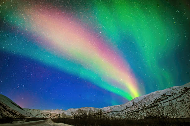 Top 5 Direct Mail Design Agencies in Alaska