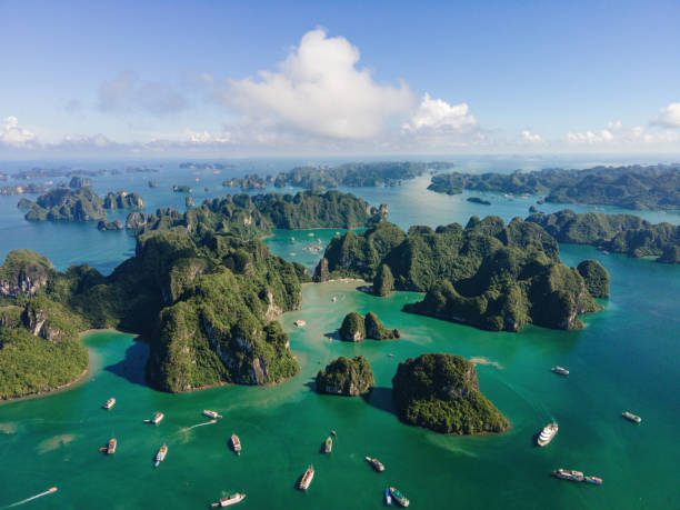 Top Graphics for Streamers Design Agencies in Vietnam