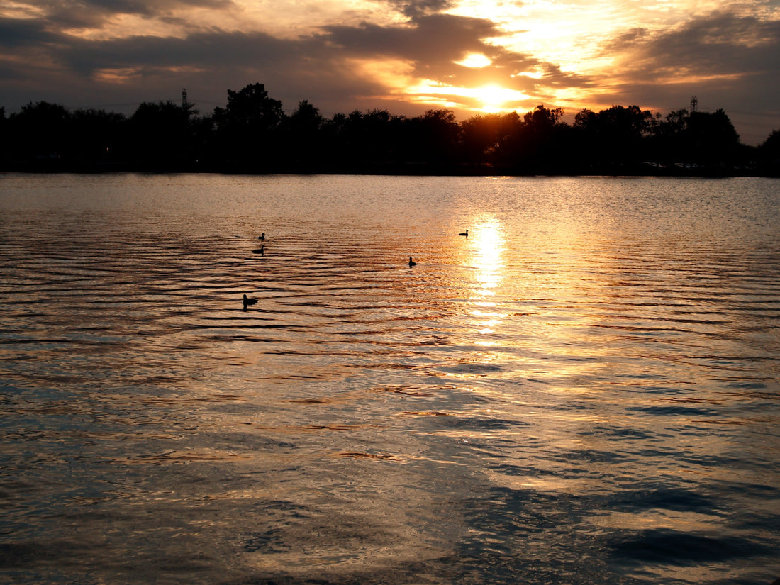 Top or Best Direct Mail Design Agencies and Companies in Metairie, Louisiana