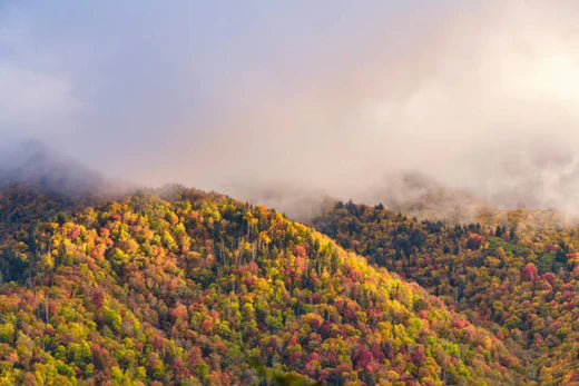 Top Video Editing Agencies in Tennessee