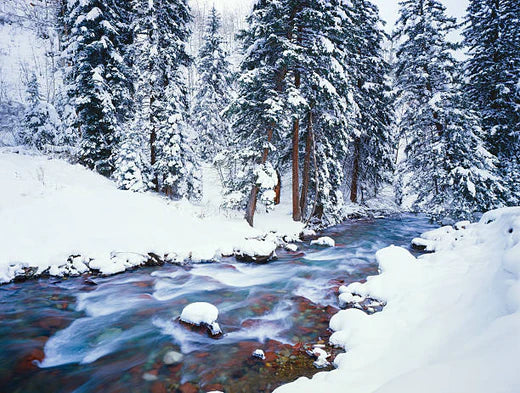 Top Animation & Motion Graphic Agencies in Colorado