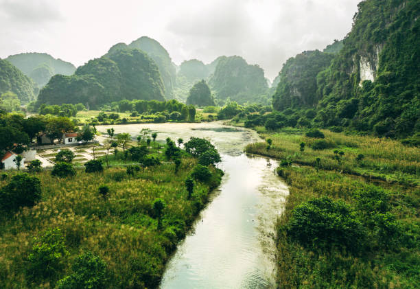 Top Brochure Design Agencies in Vietnam