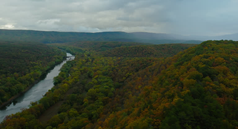 Top or Best Catalog Design Agencies and Companies in Oak Hill, West Virginia