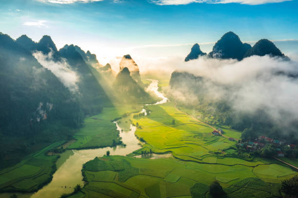 Top Custom Graphics for Video Design Agencies in Vietnam