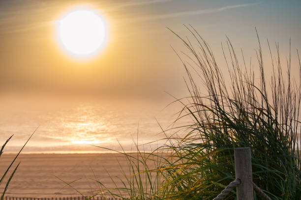 Top 5 Direct Mail Design Agencies in Delaware