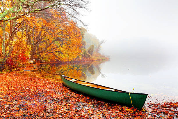 Top 5 Virtual Background Design Agencies in Massachusetts