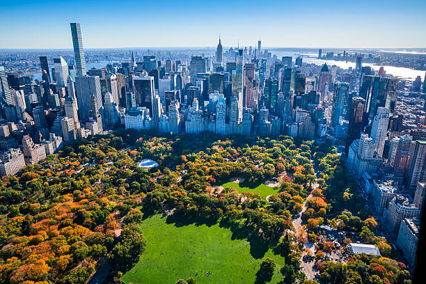 Top 5 Virtual Background Design Agencies in New York