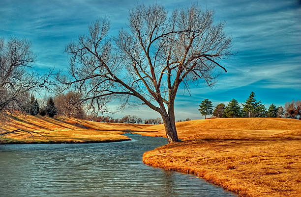 Top 5 Direct Mail Design Agencies in Oklahoma