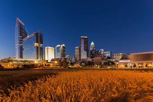 Top 5 Custom Video Graphic Agencies in North Carolina
