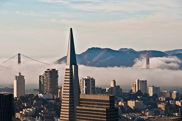 Top 5 Virtual Background Design Agencies in California