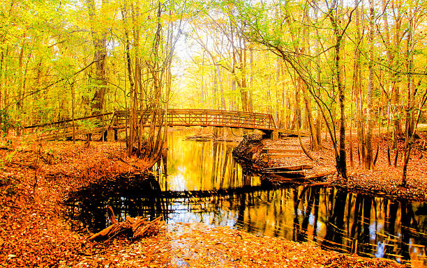 Top 5 Virtual Background Design Agencies in South Carolina