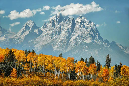 Top Video Editing Agencies in Wyoming
