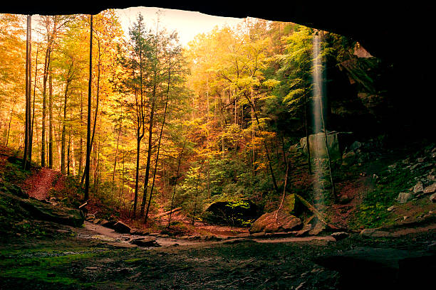 Top 5 Virtual Background Design Agencies in Kentucky