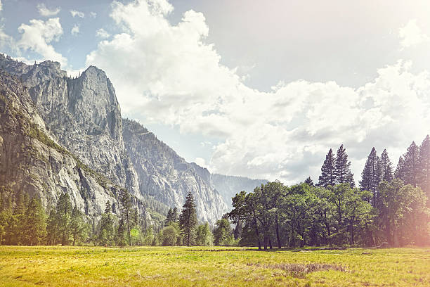 Top 5 Email Campaign Design Agencies in California
