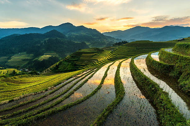 Top Invitation Design Agencies in Vietnam