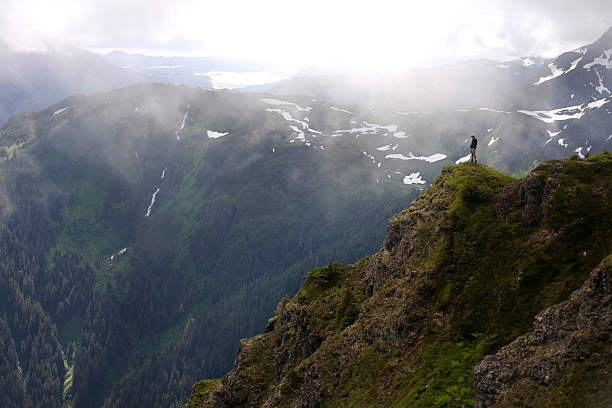 Top 5 Mural Design Agencies in Alaska