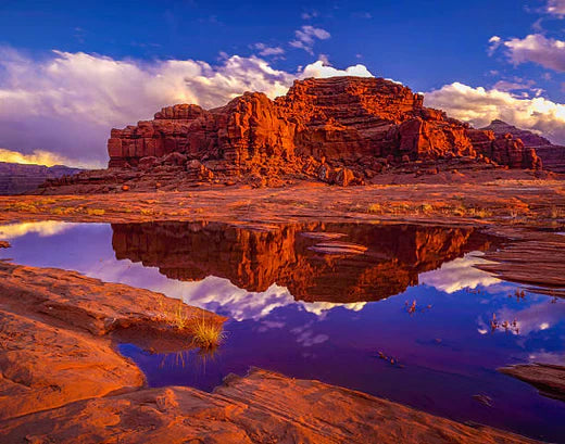 Top Animation & Motion Graphic Agencies in Utah