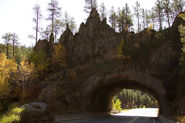 Top 5 Virtual Background Design Agencies in South Dakota