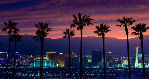 Top 5 Custom Video Graphic Agencies in Nevada