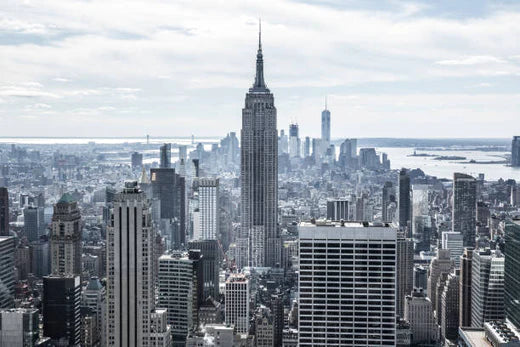 Top Animation & Motion Graphic Agencies in New York