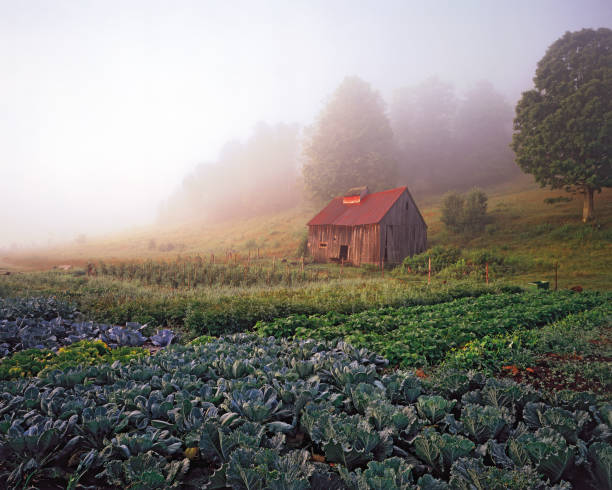 Top 5 Email Campaign Design Agencies in Kentucky