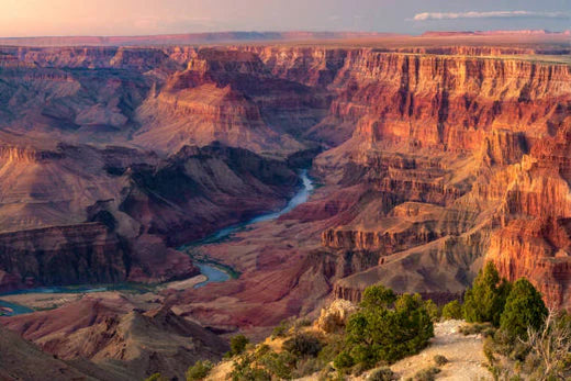 Top Animation & Motion Graphic Agencies in Arizona
