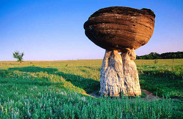 Top 5 Virtual Background Design Agencies in Kansas