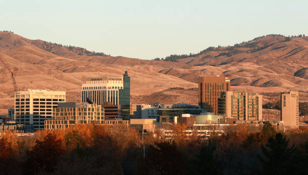 Top or Best NFT Art Agencies and Companies in Boise, Idaho