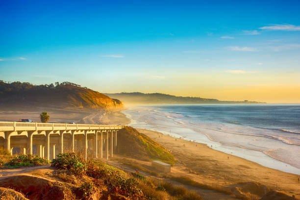 Top 5 Mural Design Agencies in California