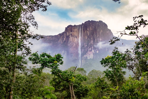 Top Video Editing Design Agencies in Venezuela