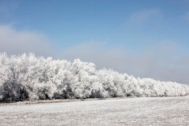 Top 5 Direct Mail Design Agencies in North Dakota