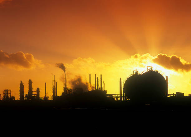 Top or Best Influencer Brand Partnership Agencies and Companies in Teesside, England