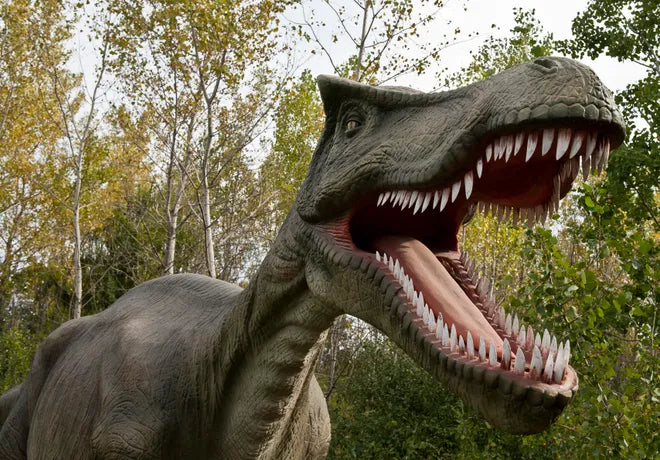 Top or Best Storyboards Agencies and Companies in Derby, Kansas