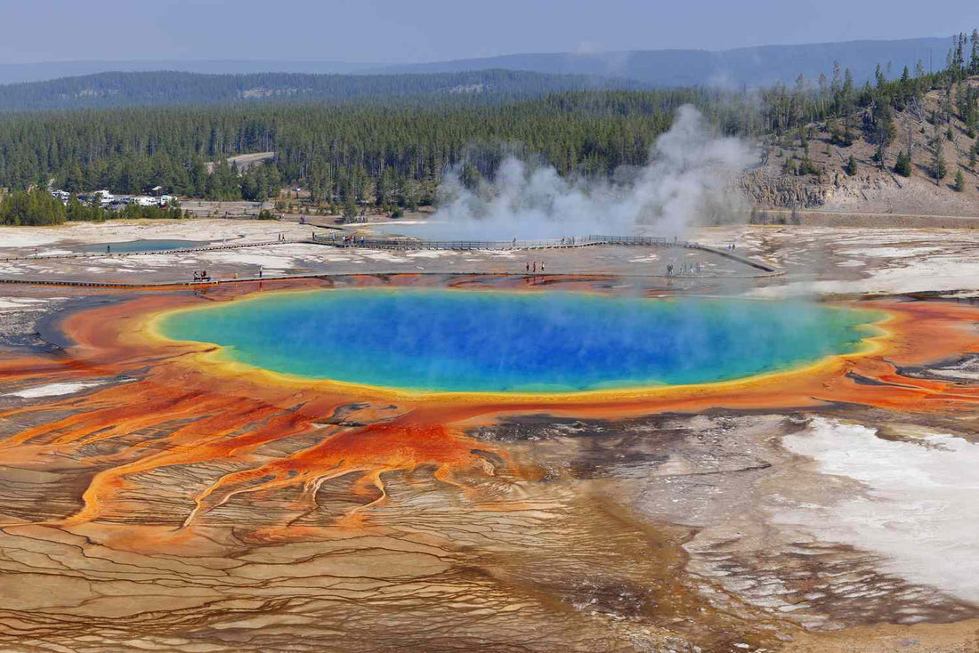 Top or Best Talent Management Agencies and Companies in Wyoming