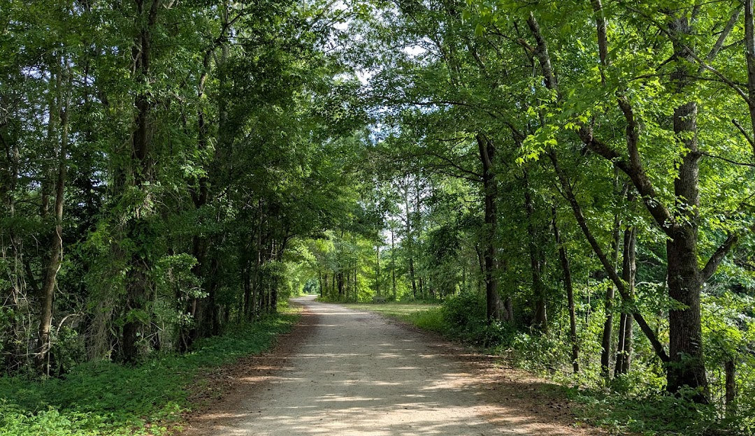 Top or Best Infographic Design Agencies and Companies in Greenville, North Carolina