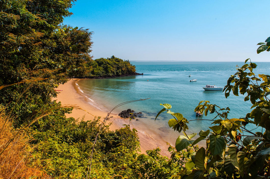 The Best Instagram Management Companies in Costa Rica