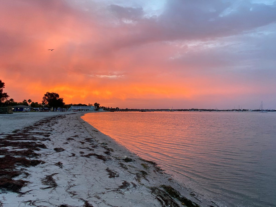 Top or Best Video Editing Agencies and Companies in Gulfport, Mississippi