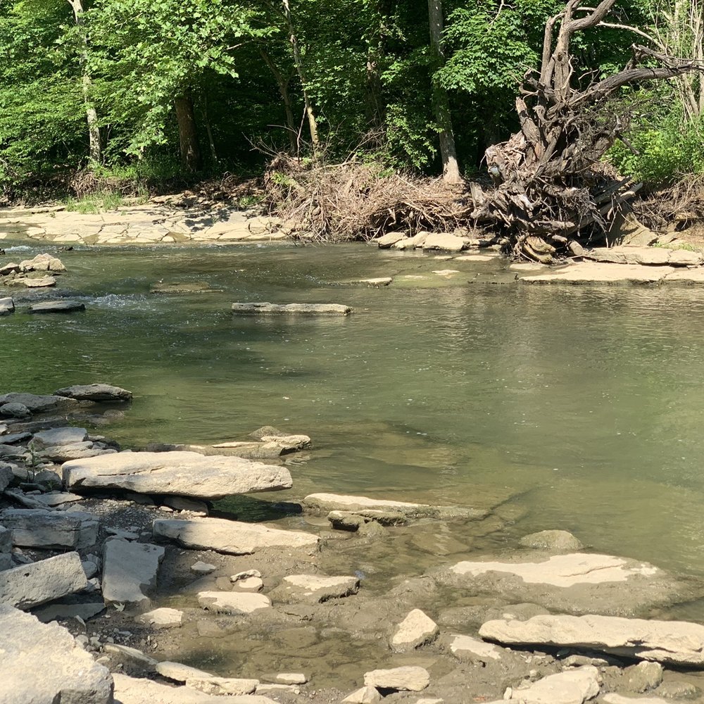 Top or Best Portraits & Caricatures Agencies and Companies in Erlanger, Kentucky