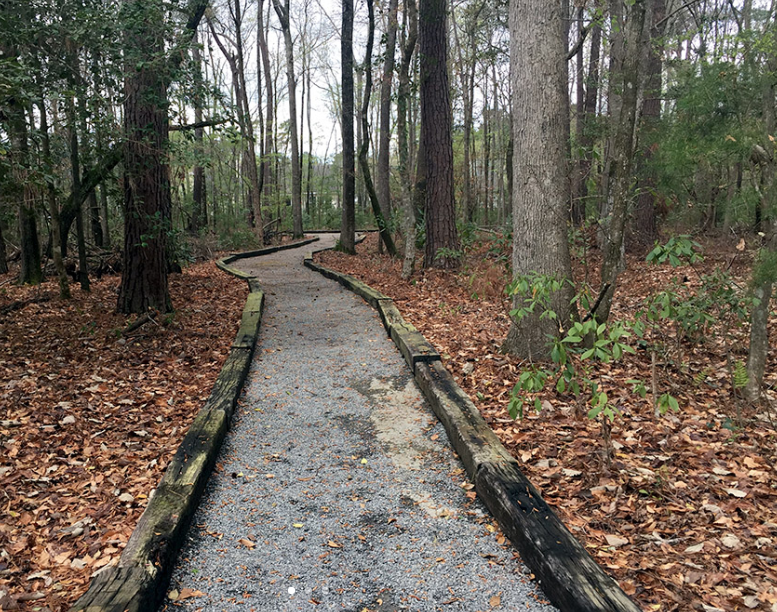 Top or Best Infographic Design Agencies and Companies in Summerville, South Carolina