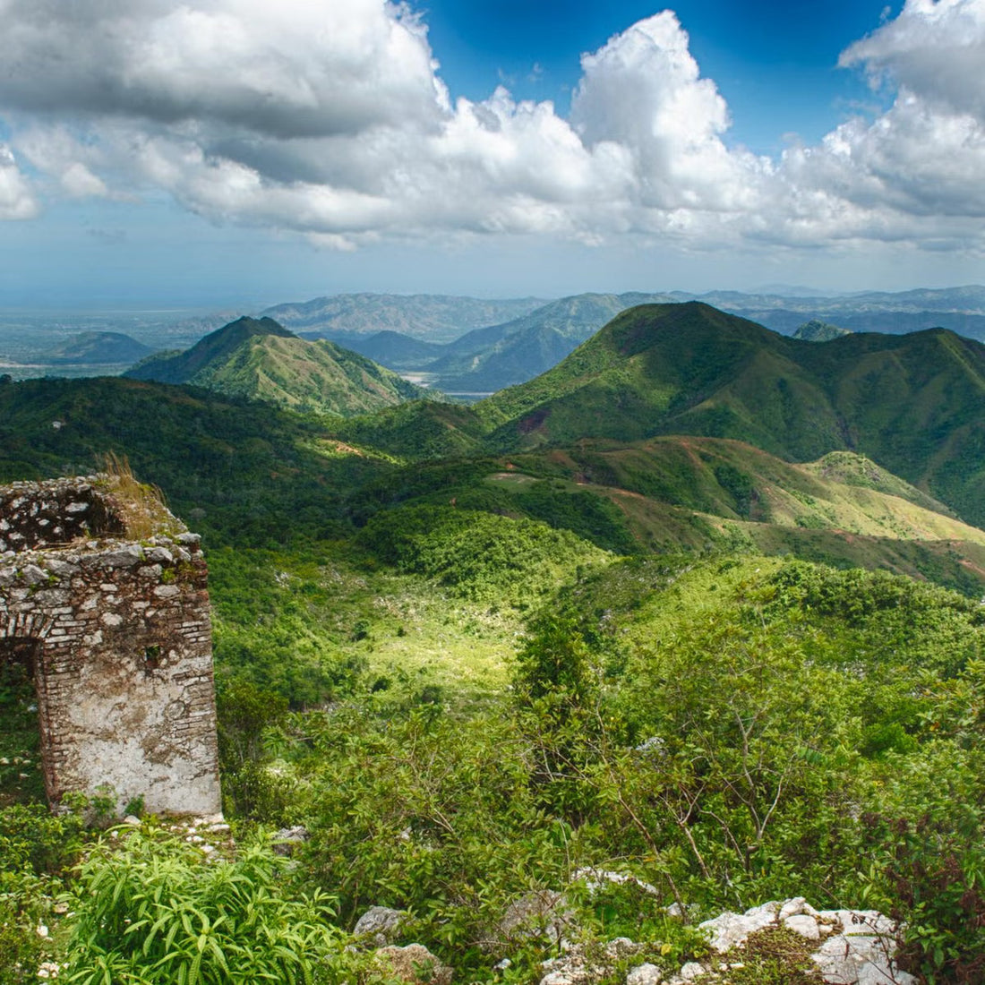Top or Best Influencer Brand Partnership Agencies and Companies in Haiti