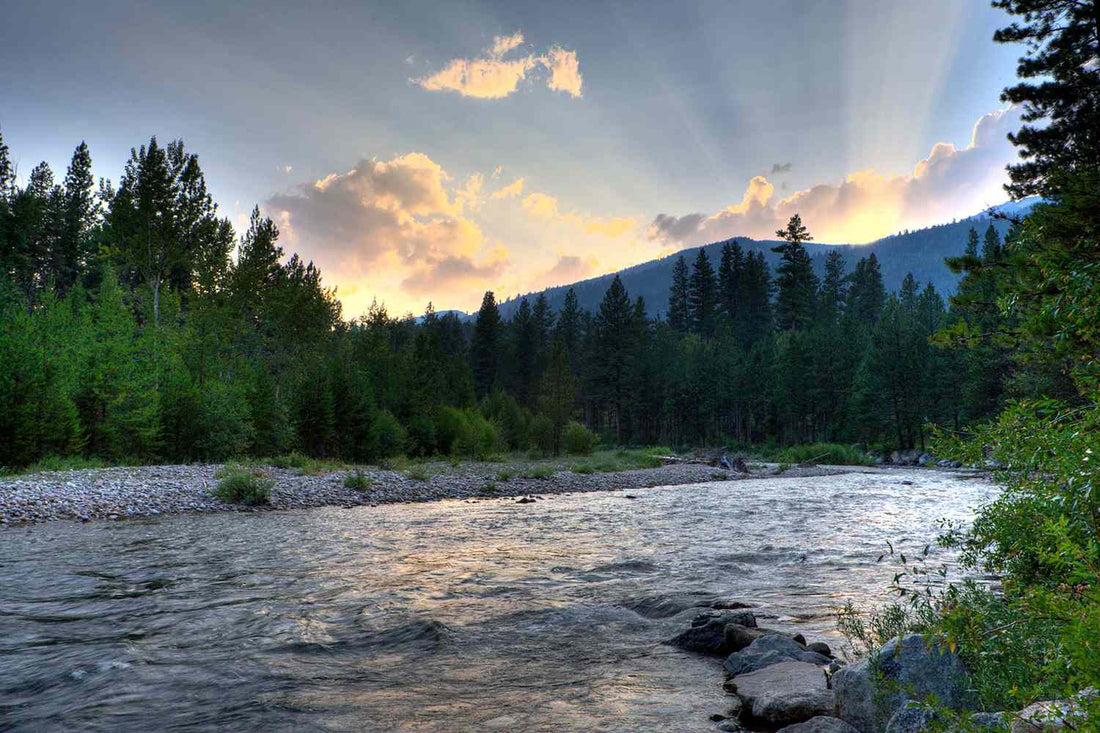 Top or Best YouTube Management Agencies and Companies in Lockwood, Montana