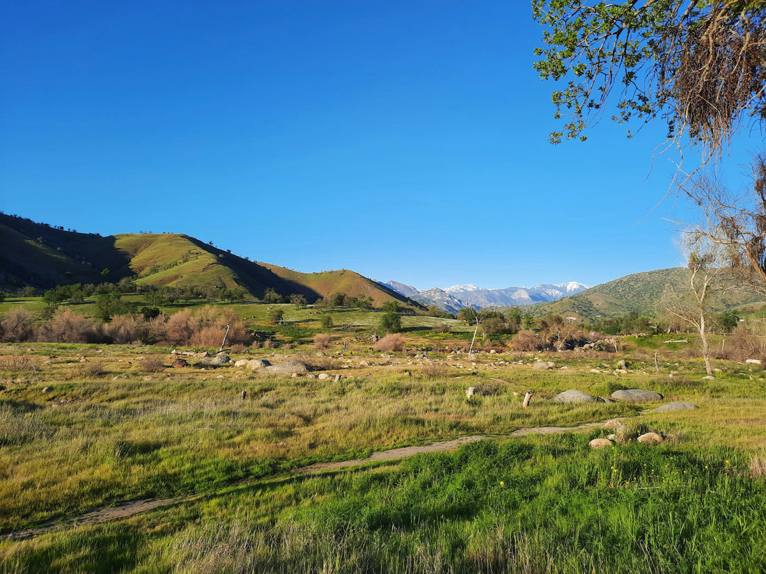 Top or Best Social Media Design Agencies and Companies in Spring Valley, Nevada