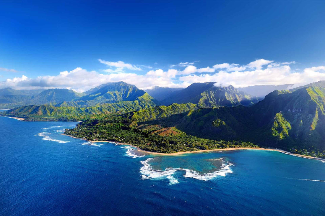 Top or Best Flyer Design Agencies and Companies in Kapolei, Hawaii