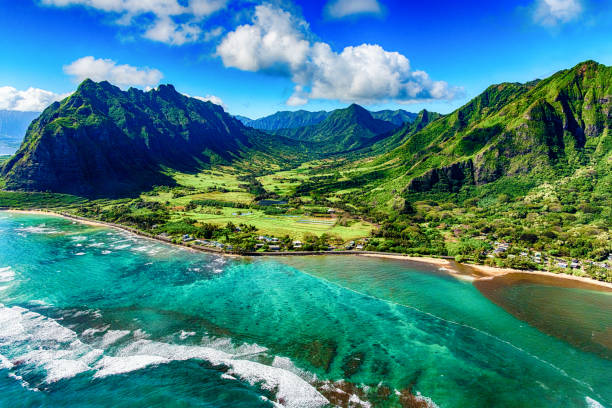 Best Twitch Management Companies in Hawaii