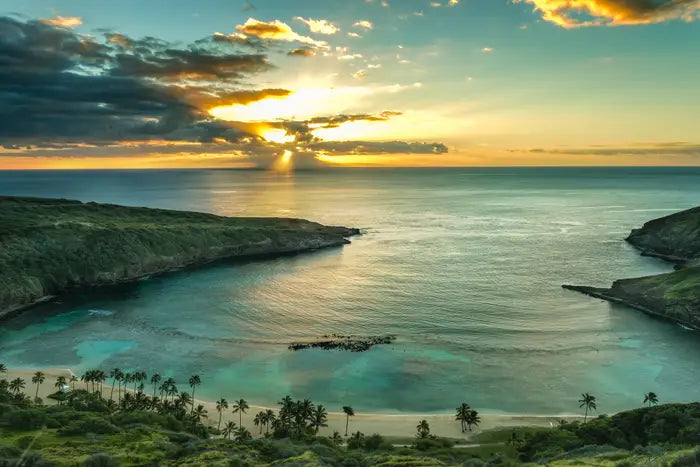 Top Social Media Management Companies in Hawaii