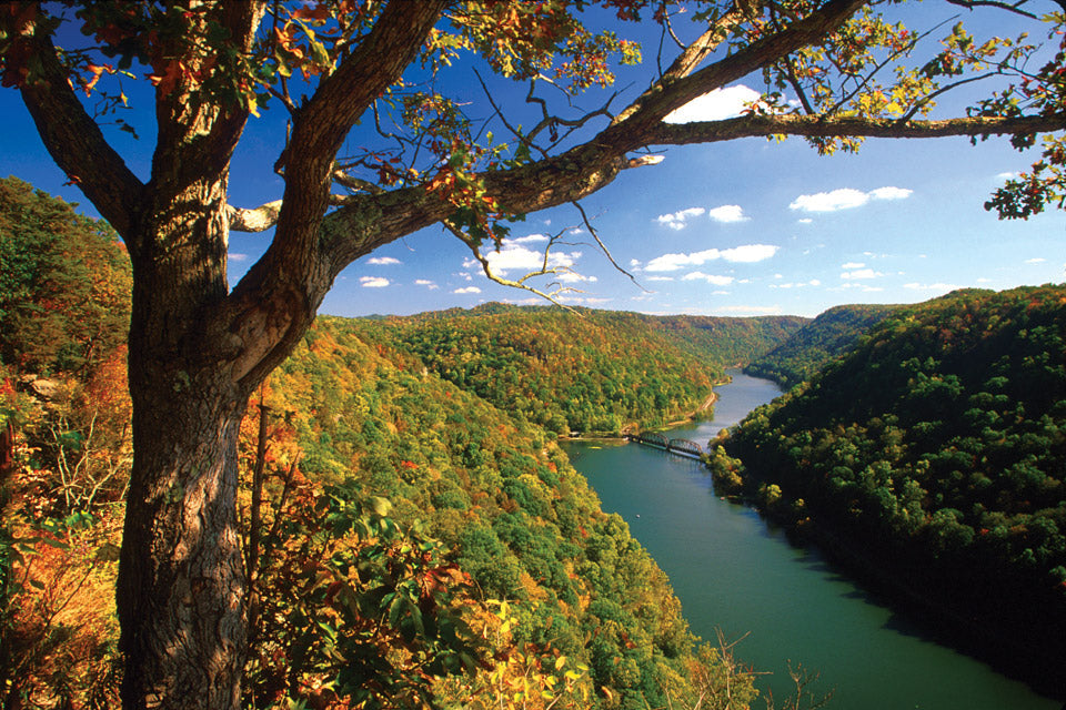 Top or Best Athlete Brand Partnership Agencies and Companies in West Virginia