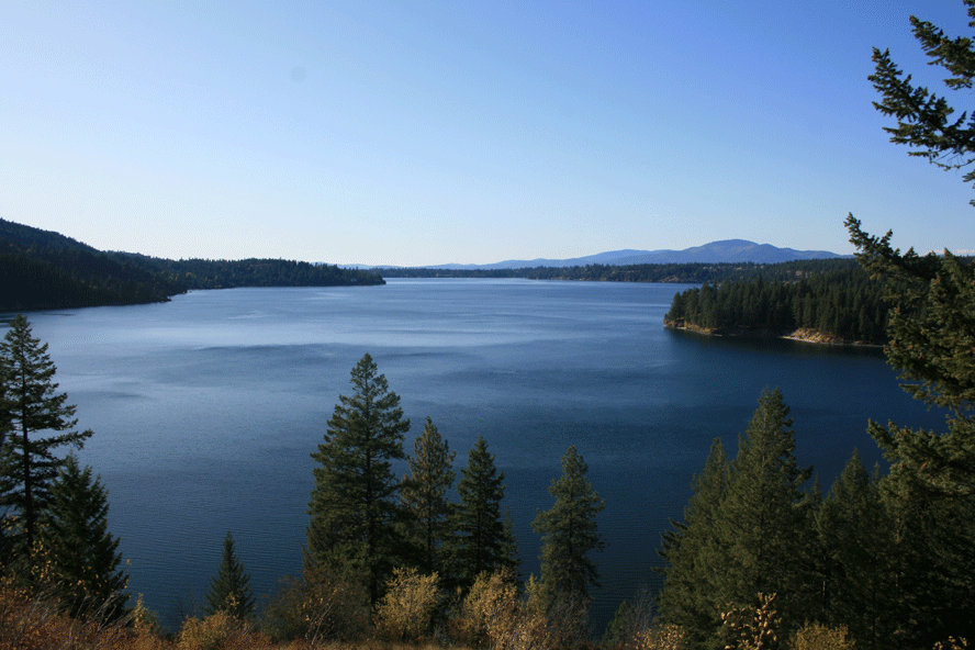 Top or Best Storyboards Agencies and Companies in Hayden, Idaho